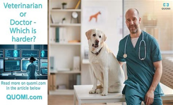 Who makes more money a vet or doctor?