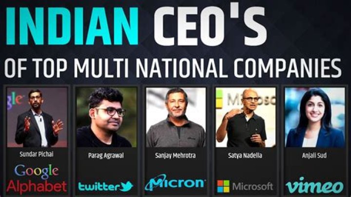 Who owns a multinational company?