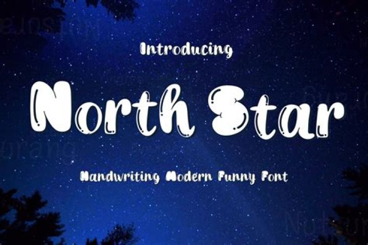 Who posted The North Star?