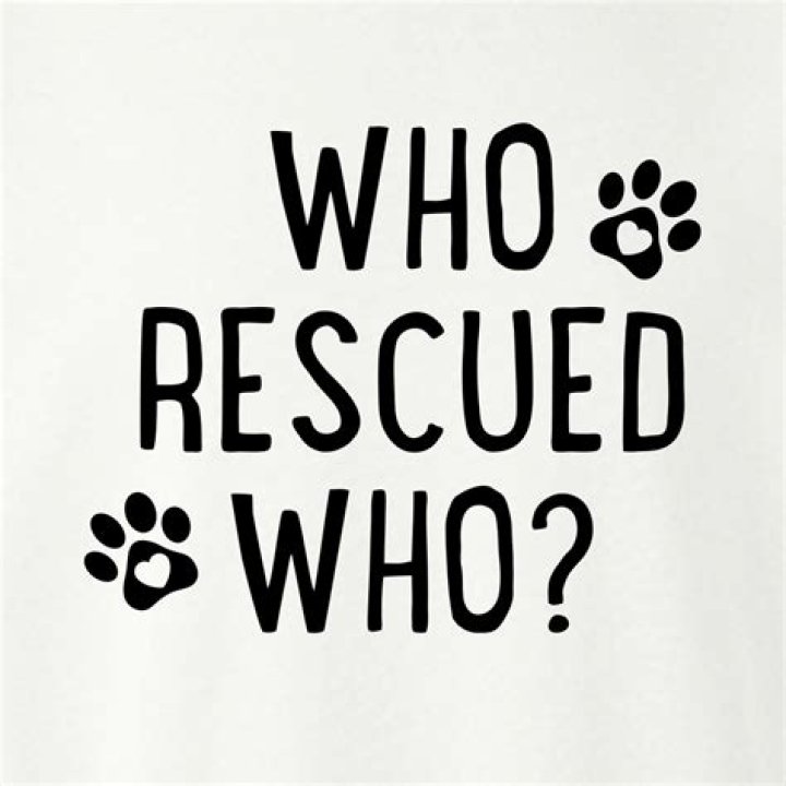 Who rescued who Borderlands 3?