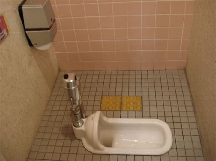 Why are Japanese toilets on the floor?
