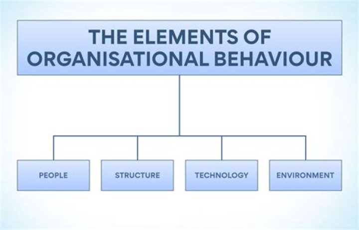 Why are the Hawthorne studies important to the study of organizational behavior?