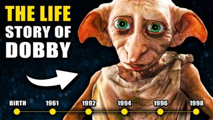 Why couldnt they use magic to save Dobby?
