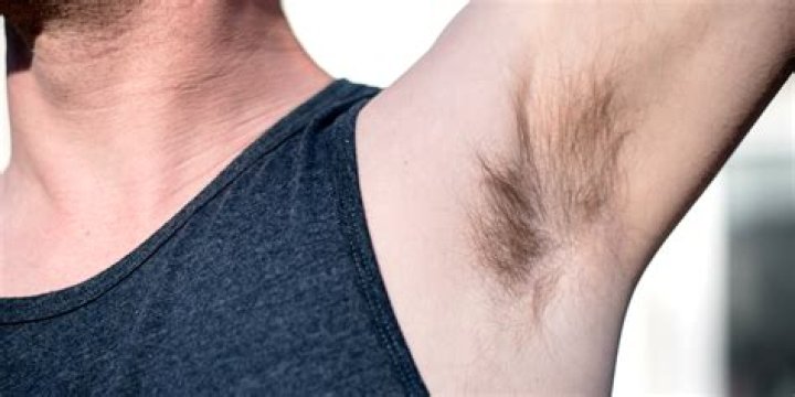Why do humans have armpit hair?