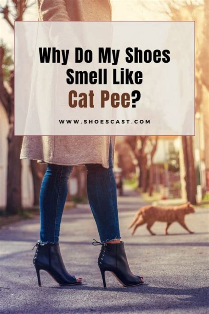 Why do my shoes smell like cat pee?
