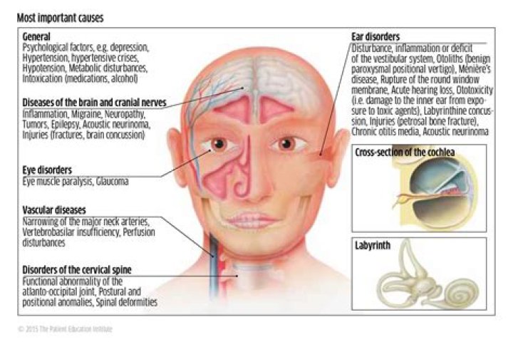Why do you get dizzy easier as you get older?