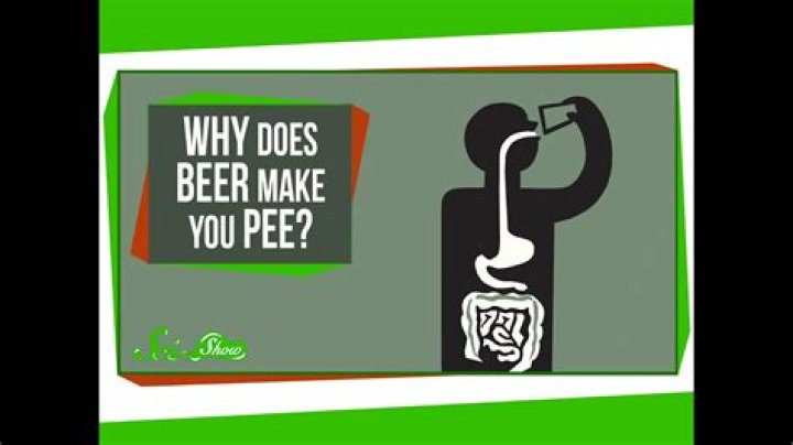 Why does beer make you poop next day?