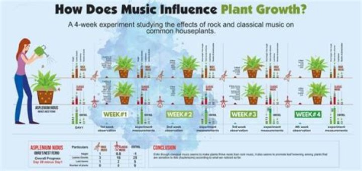 Why does music make plants grow faster?