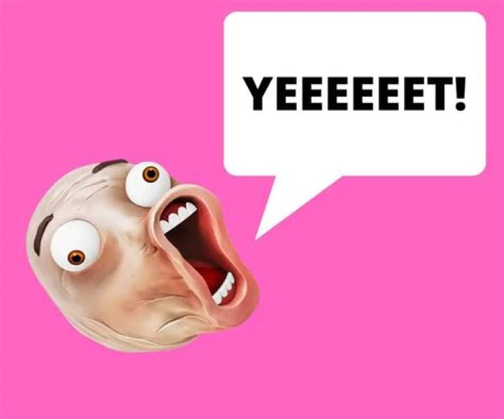 Why does my kid say YEET?