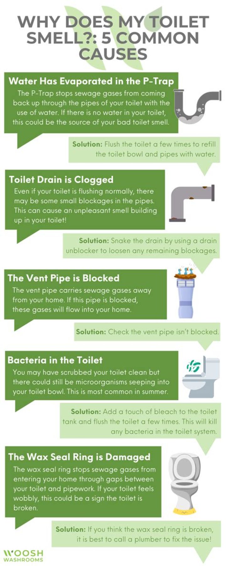 Why does my toilet get moldy so fast?
