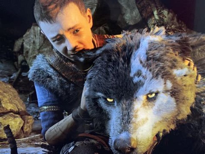 Why is Loki's son a wolf Valhalla?
