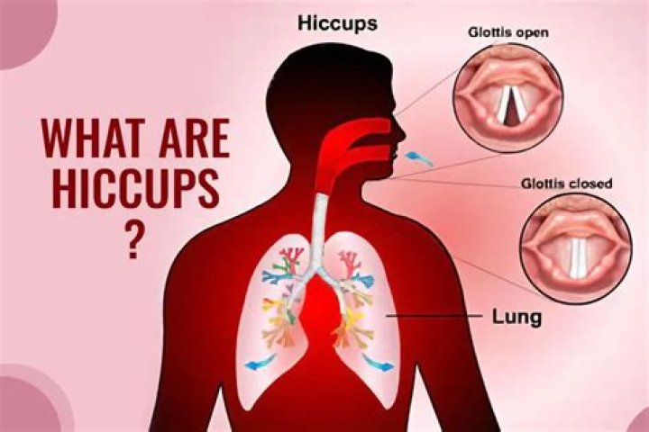 Why is my baby hiccuping so much in womb?