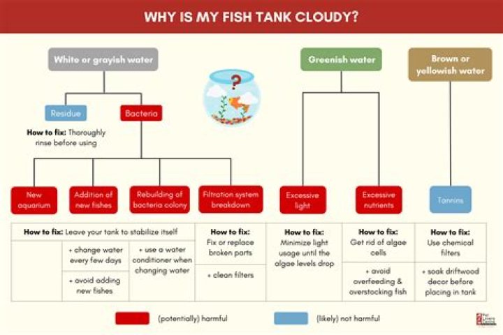 Why is my tank cloudy after water change?