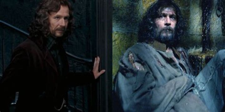 Why is Sirius a dog?