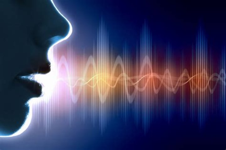 Why is the human voice so powerful in music?