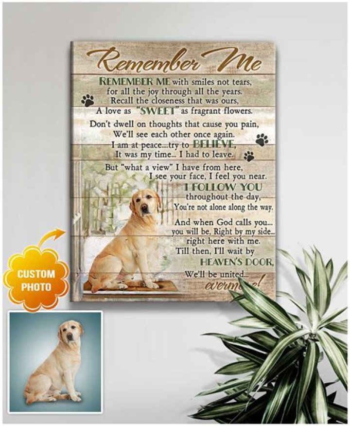 Will a dog remember you after 10 years?