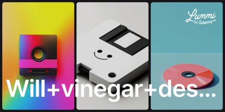 Will vinegar destroy a hard drive?